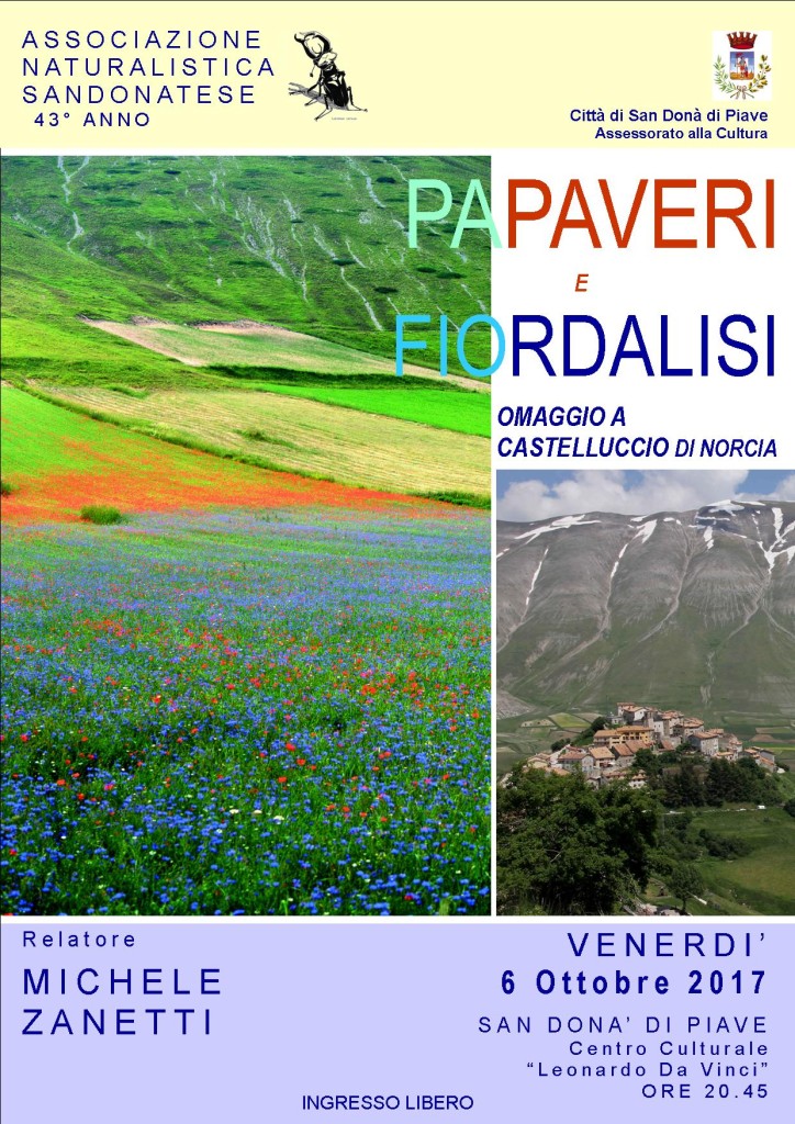 papaveri-papere-omaggio-CASTELLUCCIO-norcia-michele-zanetti-associazione-naturalistica