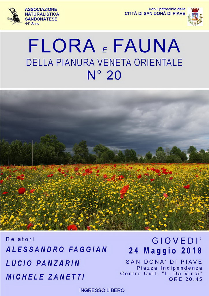 flora-e-fauna-della-pianura-veneta-associazione-naturalistica-sandonatese-michele-zanetti