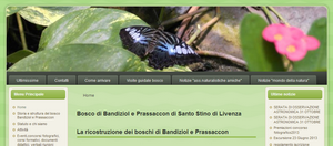 BoscoSanStino small – Associazione Naturalistica Sandonatese