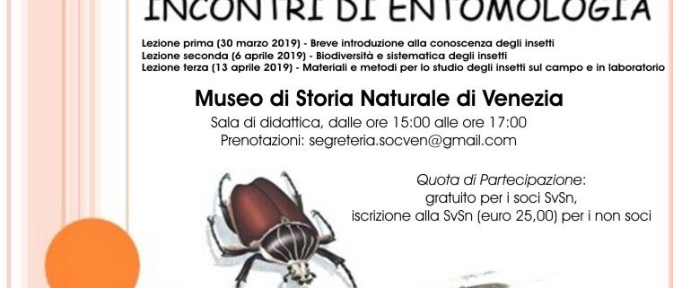 corso entomologia associazione naturalistica – Associazione Naturalistica Sandonatese