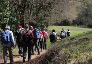 escursione COLLI BERICI 08 04 2018 2 – Associazione Naturalistica Sandonatese