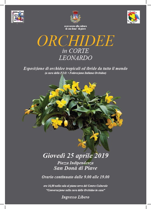 ORCHIDEE-in-corte-leonardo-san-dona-di-piave