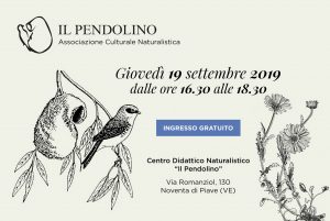 locandina-evento-open_day-pendolino-2019