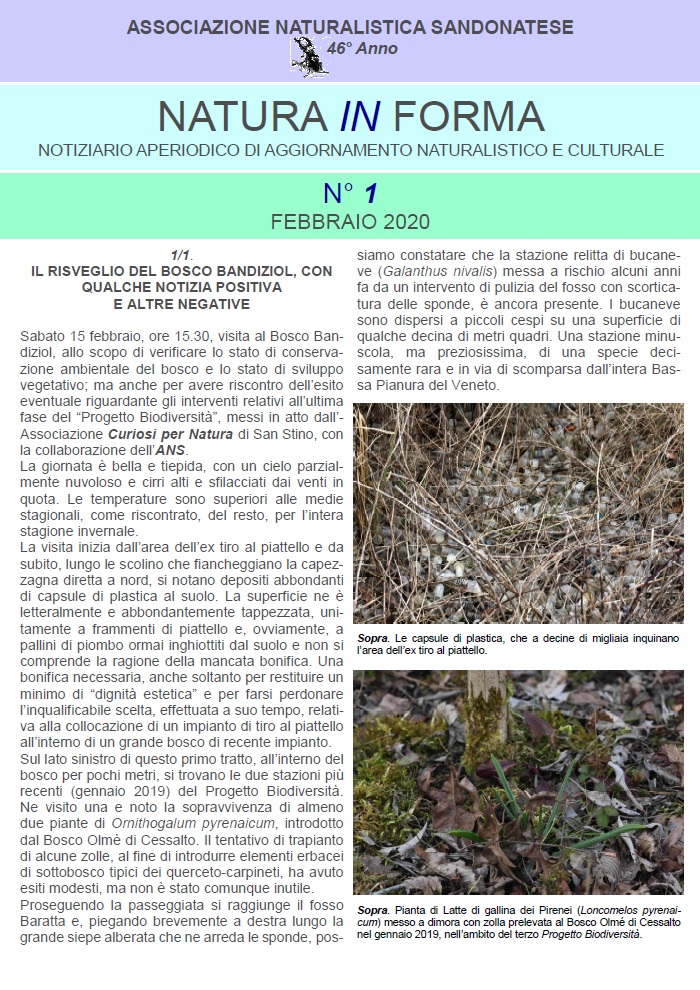 natura in forma n.1 - Notiziario aperiodico di aggiornamento naturalistico e culturale - ANS