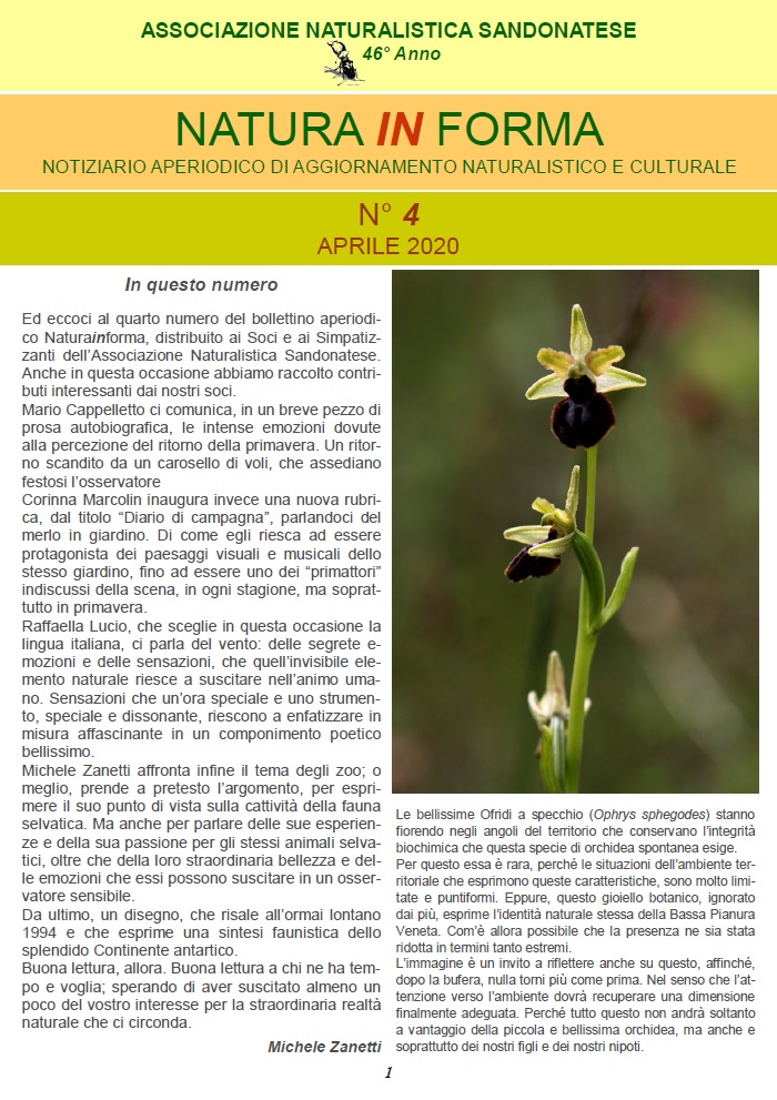 natura in forma 4 – Associazione Naturalistica Sandonatese