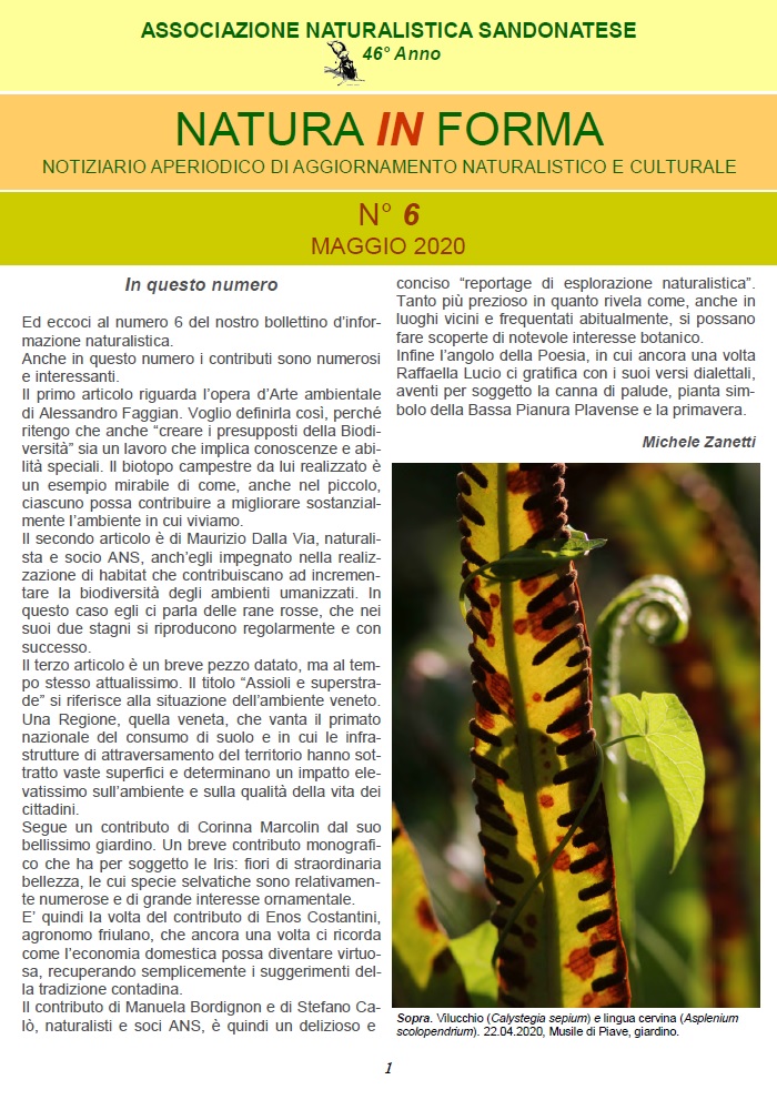 natura in forma 6 – Associazione Naturalistica Sandonatese
