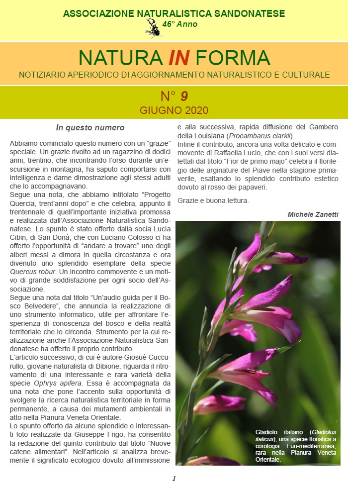 natura in forma 9 – Associazione Naturalistica Sandonatese