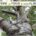 locandina-vivere-la-piave-alberi