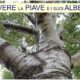locandina-vivere-la-piave-alberi