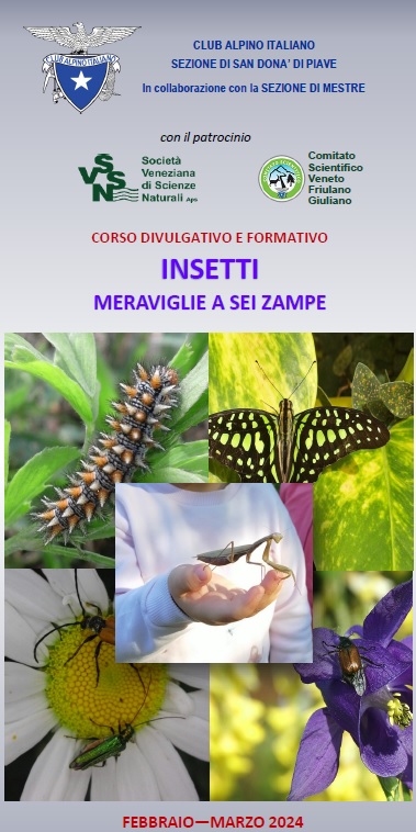 corso insetti 2024 – Associazione Naturalistica Sandonatese