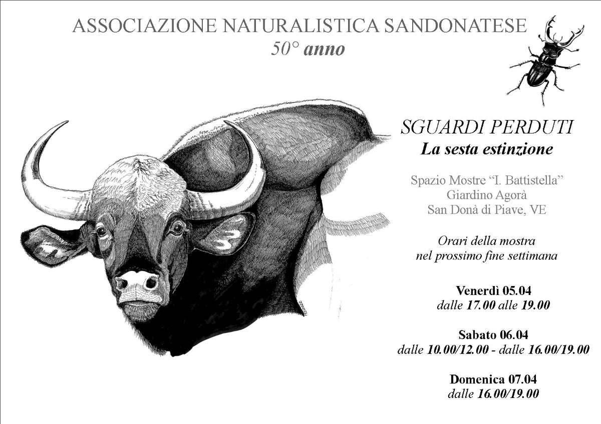 ORARI MOSTRA 2 – Associazione Naturalistica Sandonatese