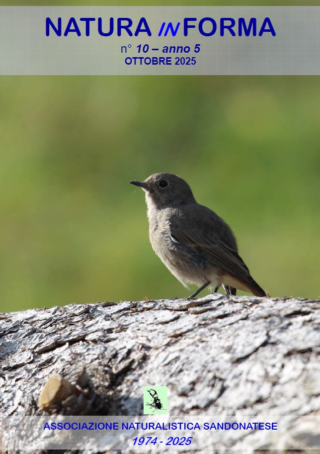 natura-in-forma-n10-ottobre-2025 natura in forma n10 ottobre 2025 – Associazione Naturalistica Sandonatese