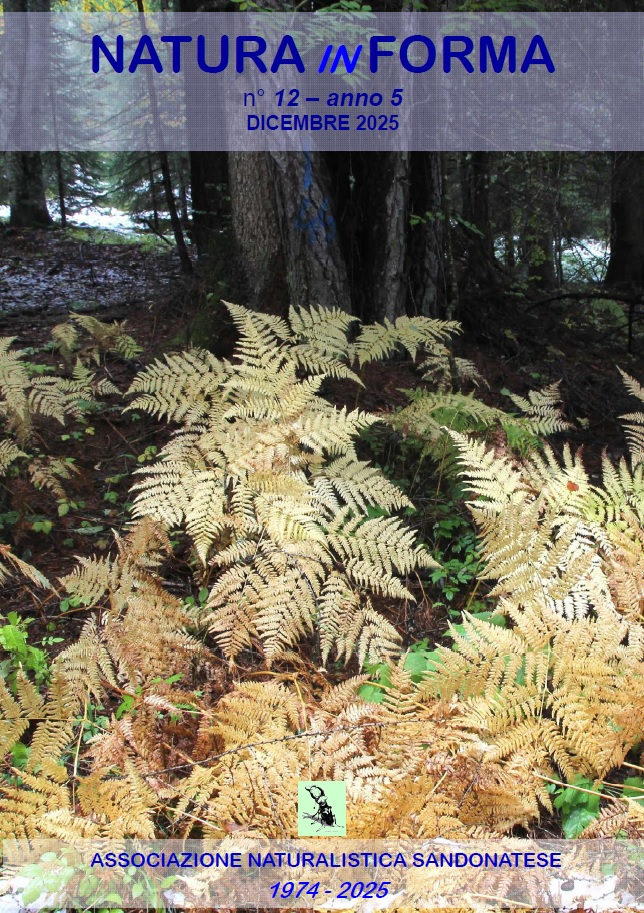 natura-in-forma-n12-dicembre-2025 natura in forma n12 dicembre 2025 – Associazione Naturalistica Sandonatese
