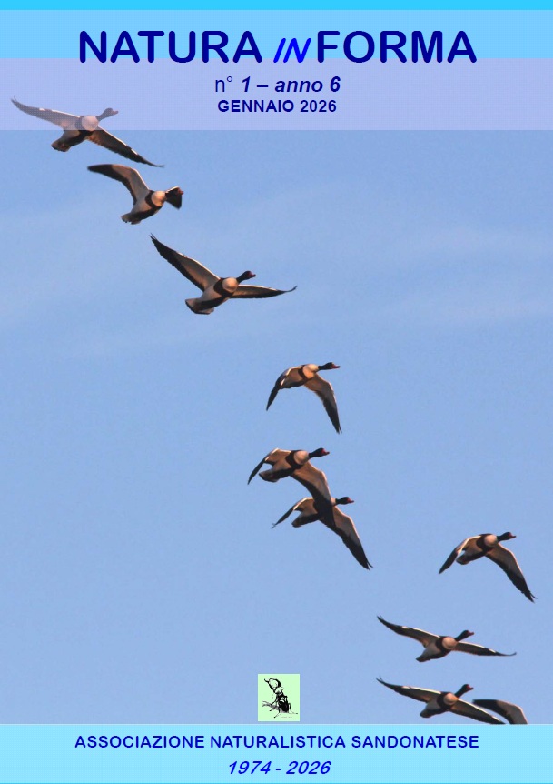 natura in forma n1 gennaio 2026 &ndash; Associazione Naturalistica Sandonatese
