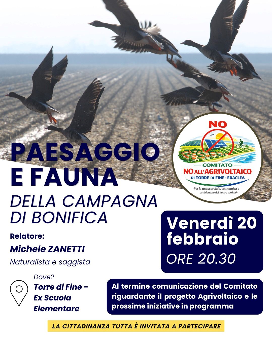 LOCANDINA-TORRE-DI-FINE LOCANDINA-TORRE-DI-FINE