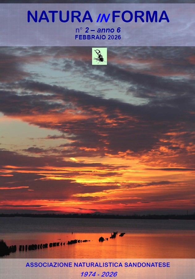 natura-in-forma-n2-febbraio-2026 natura-in-forma-n2-febbraio-2026