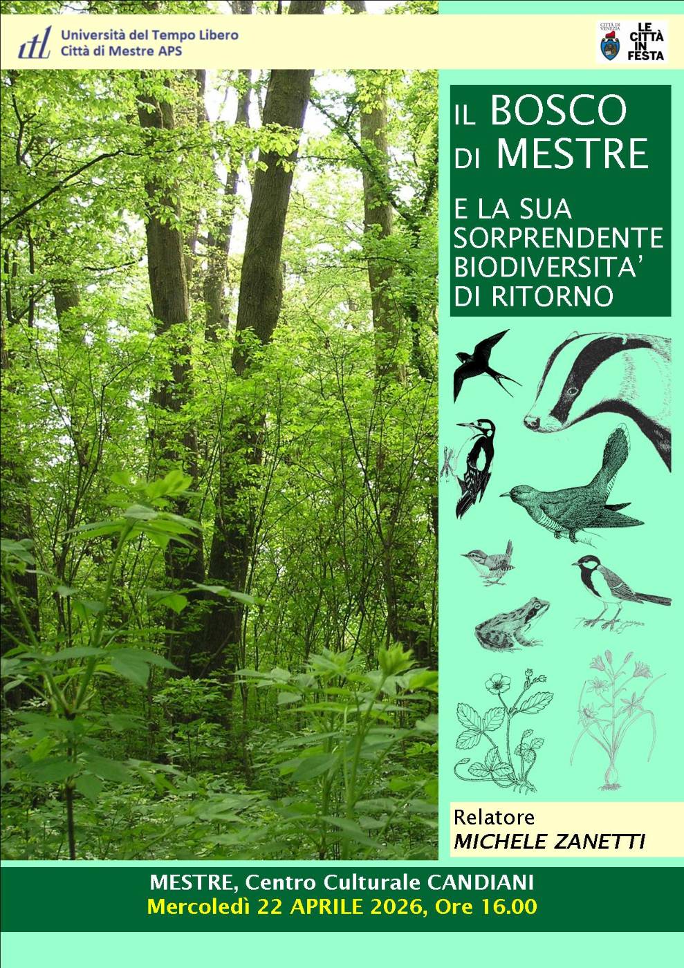 BOSCO DI MESTRE biodiversita &ndash; Associazione Naturalistica Sandonatese