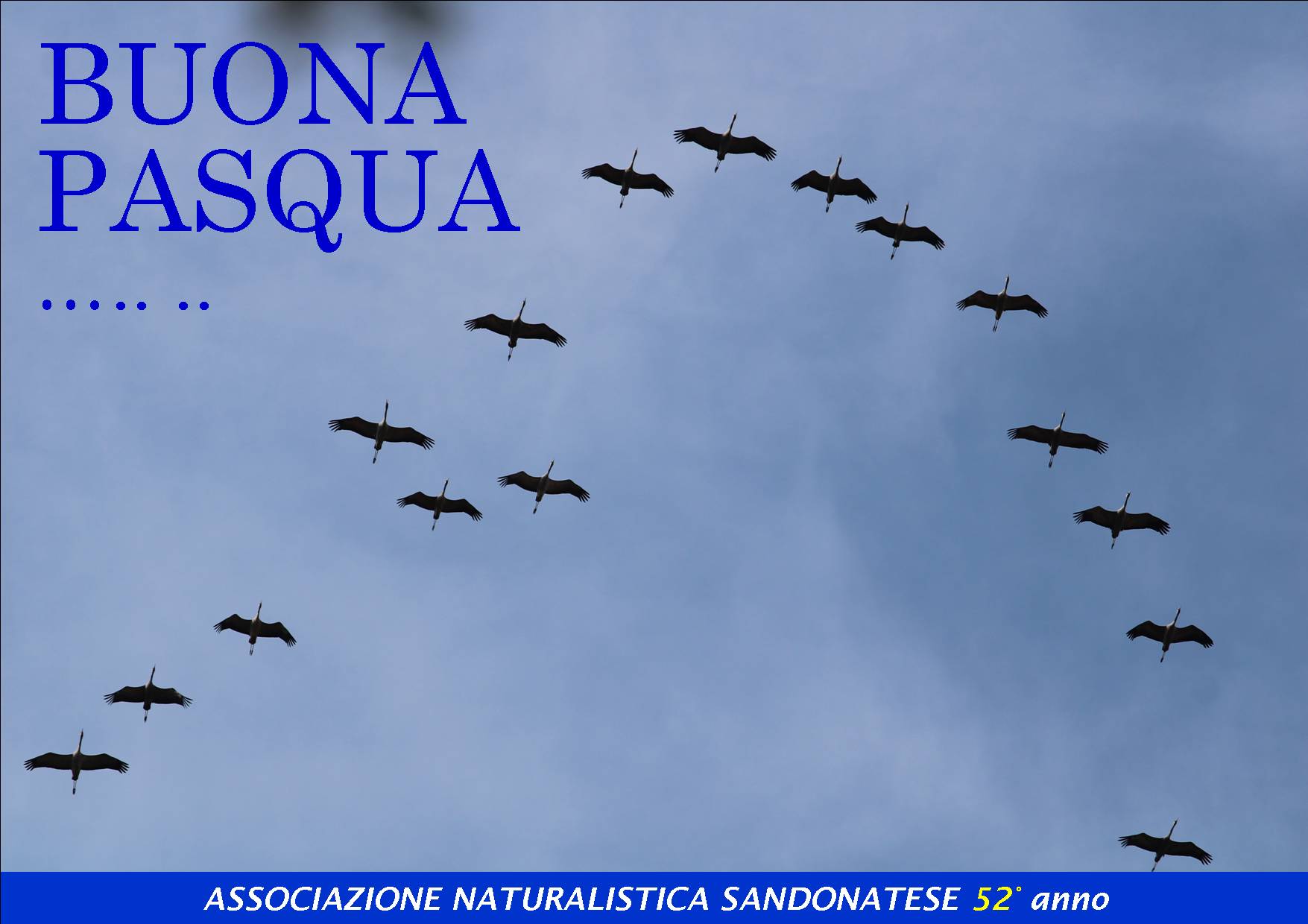 BUONA-PASQUA 2026 BUONA-PASQUA 2026