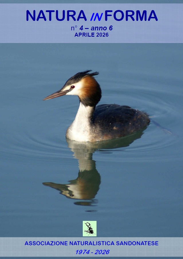 natura in forma n4 aprile 2026 &ndash; Associazione Naturalistica Sandonatese