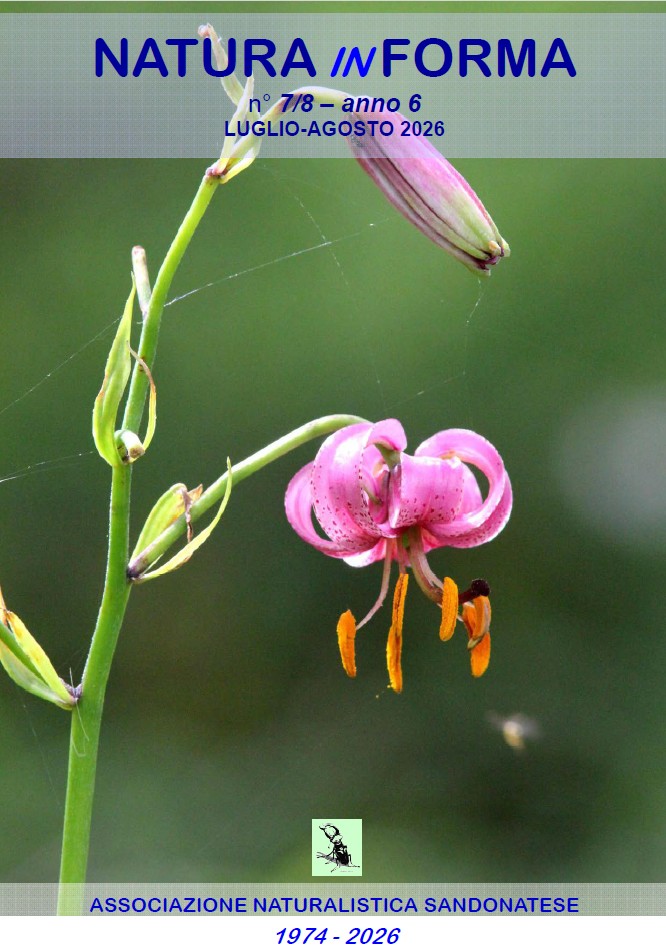 natura-in-forma-n7-8-luglio-agosto-2026 natura-in-forma-n7-8-luglio-agosto-2026