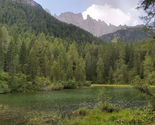 padola &ndash; Associazione Naturalistica Sandonatese