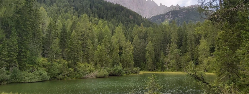 padola – Associazione Naturalistica Sandonatese