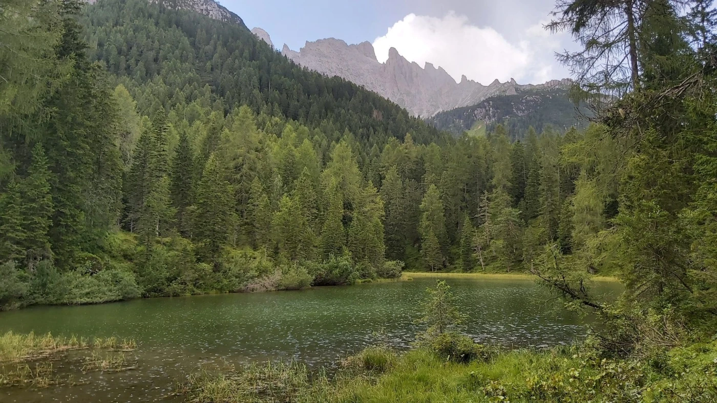 padola &ndash; Associazione Naturalistica Sandonatese