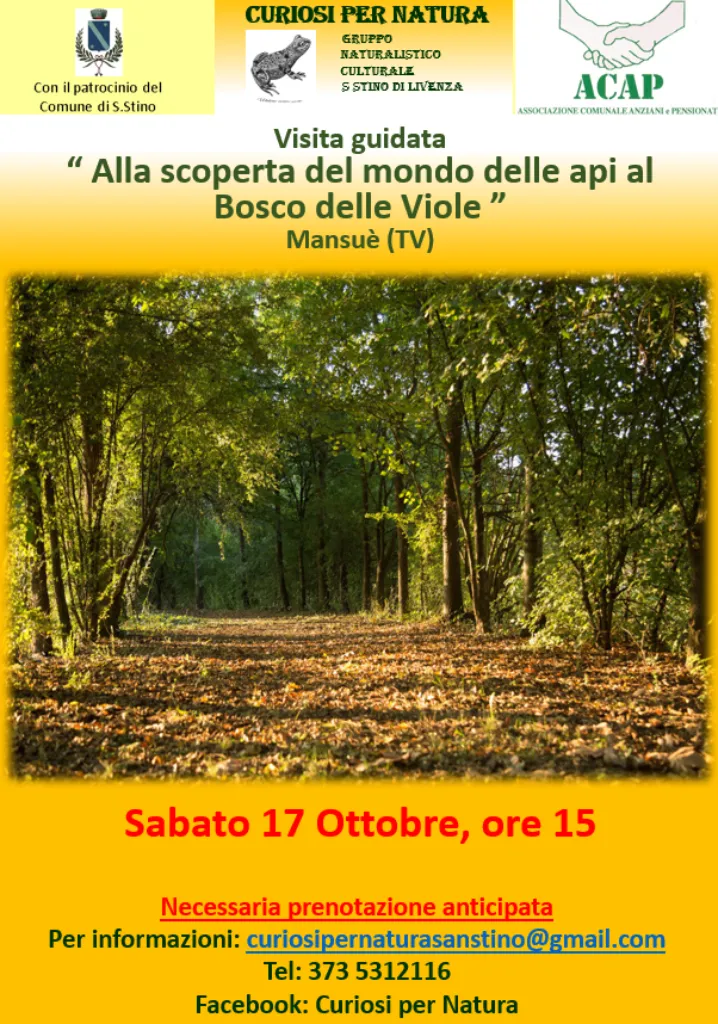 CURIOSI-PER-NATURA-api CURIOSI-PER-NATURA-api